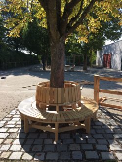 Holzbank rund um Baum auf Kopfsteinpflaster