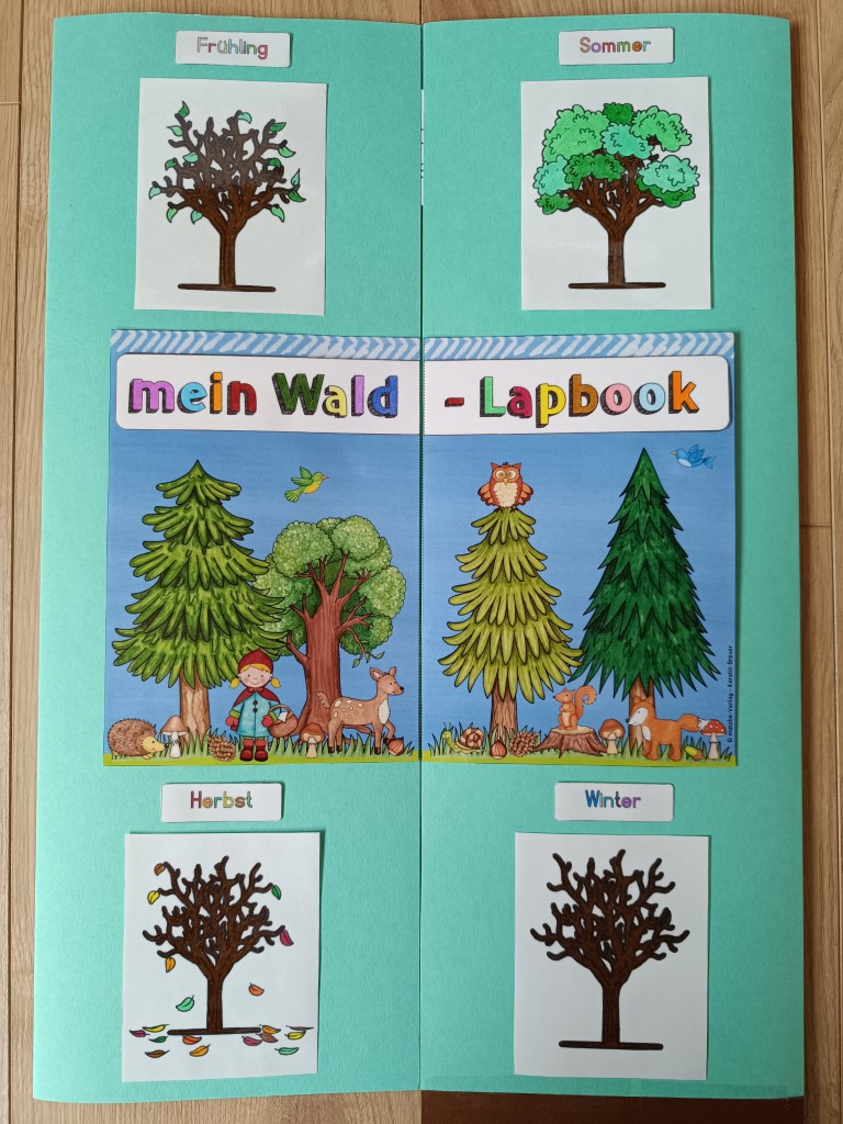 Mein Wald Lapbook mit vier Jahreszeiten Illustrationen
