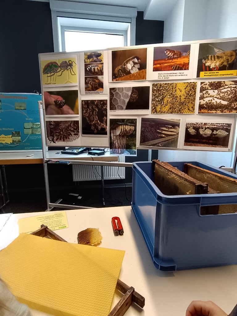 Imkerwerkstatt mit Honigwaben und Bienenbildern entdecken