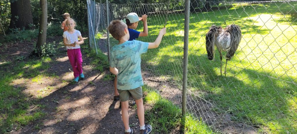 Kinder beobachten einen Vogel im Zoo-Gehege