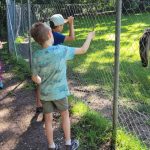 Kinder beobachten einen Vogel im Zoo-Gehege