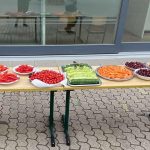 Bunte Auswahl an frischem Obst und Gemüse