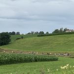 Wanderer auf einem Feldweg in der Landschaft