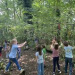 Spiele im Wald