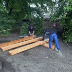 Balken sägen