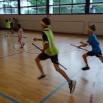 Quidditch Sucher