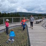 Waldwipfelweg Netzbalance