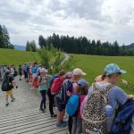 Weg zum Haus zur Wildnis