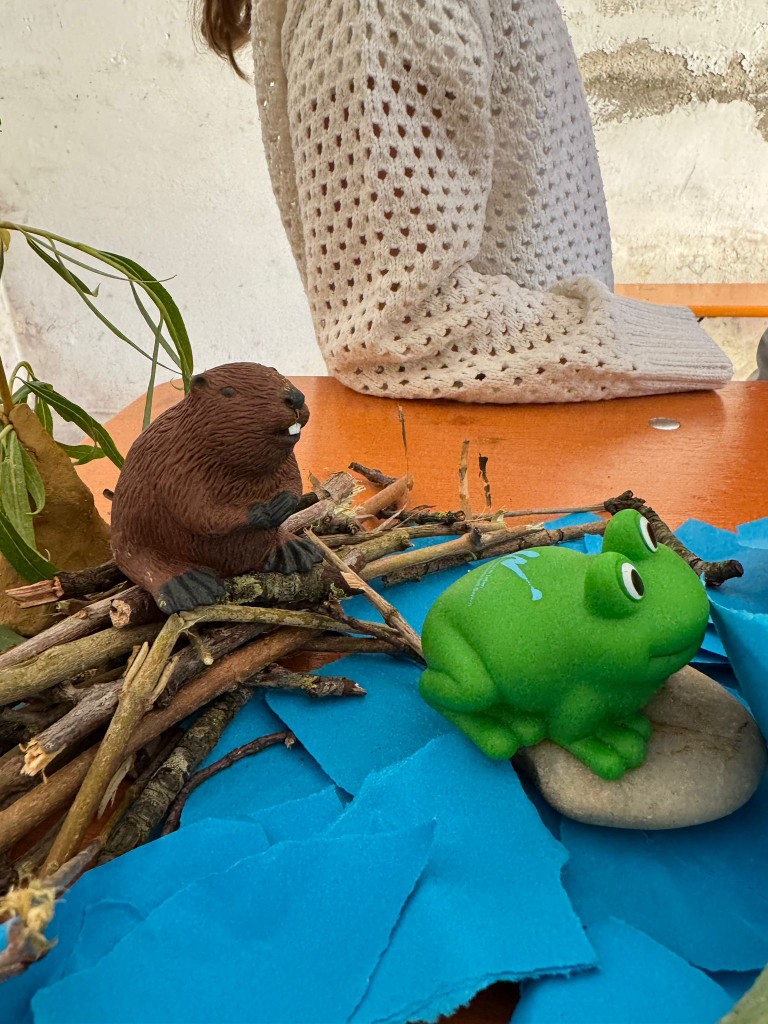 Frosch und Biber als Wasserbewohner
