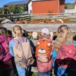 Kinder und Kühe 1