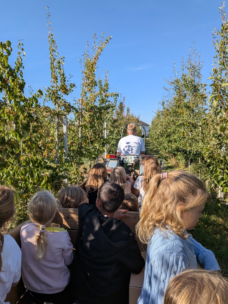 Traktorfahrt